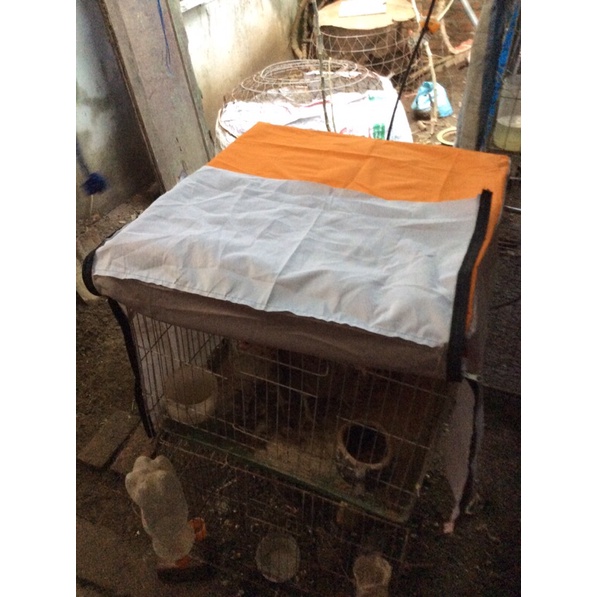 bách hoá gà chọi áo lồng 50v