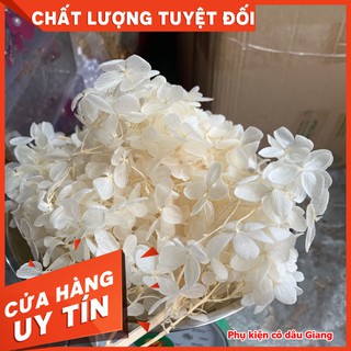 <TP>Hoa cẩm tú cầu khô hộp lớn cài tóc cô dâu