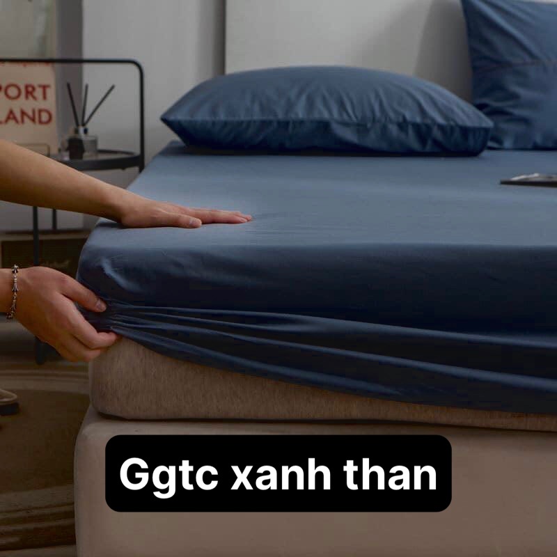 Bộ ga giường và vỏ gối cottong TC hàng nhập khẩu không bai, không xù giặt giũ thoải mái đủ kích thước 1m2 1m6 1m8