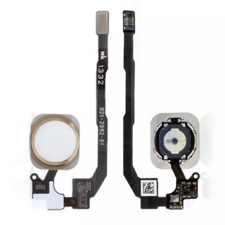 Cáp home 5s