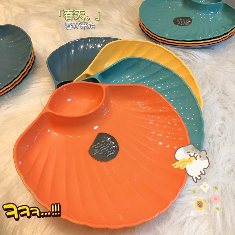 Set 4 dĩa sò đủ màu