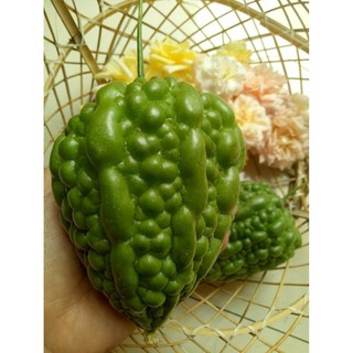 HẠT KHỔ QUA TRÁI TIM F1 779 - GÓI 5 HẠT