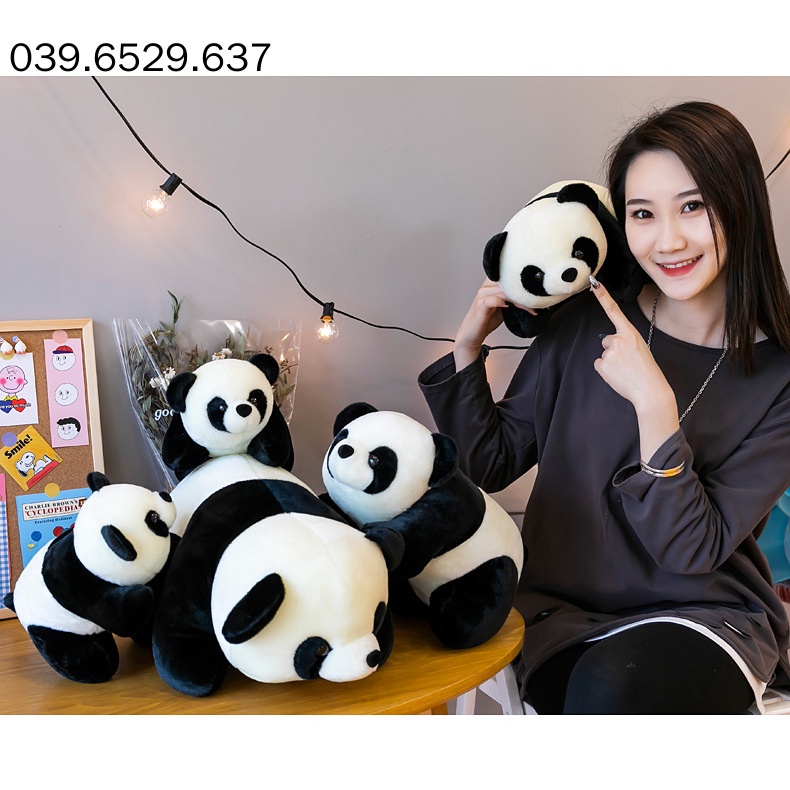 Gấu bông teddy bear gấu trúc Panda, gấu trúc nhồi bông nhập khẩu cao cấp, vải mịn size 30cm và 60cm