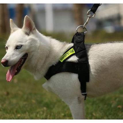 STHA- Bộ Dây dắt chó lớn kèm Yếm ngực POLICEDOG có phản quang (thường dùng cho chó nghiệp vụ)