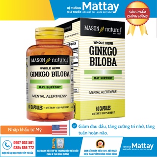 Ginkgo Biloba Mason Hộp 60 viên - Tăng cường tuần hoàn não, giảm thiểu triệu chứng đau đầu