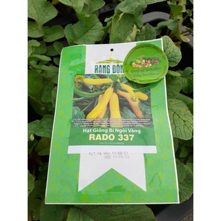 [Rạng Đông] Hạt Giống Bí Ngòi Vàng Rado 337 F1 Dễ Trồng, Năng Suất Cao 1gr