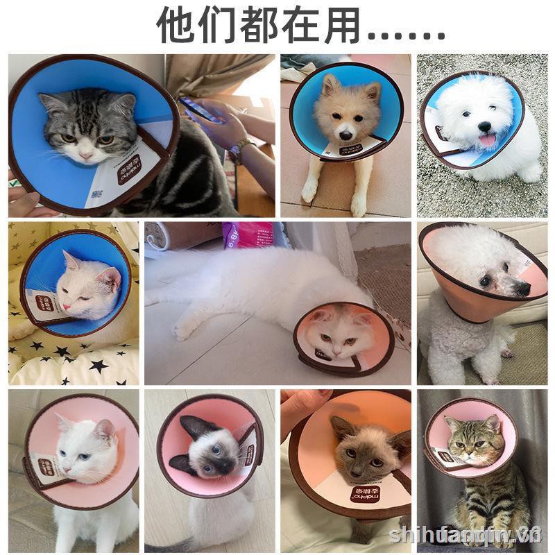 ▦Breakfast under the Excellent Product ⊙¤ Elizabeth Circle Shame Cats and Dogs Anti-licking Cat Collars Large Dogs Sterilization Dog Headgear Collar Elizabeth 1