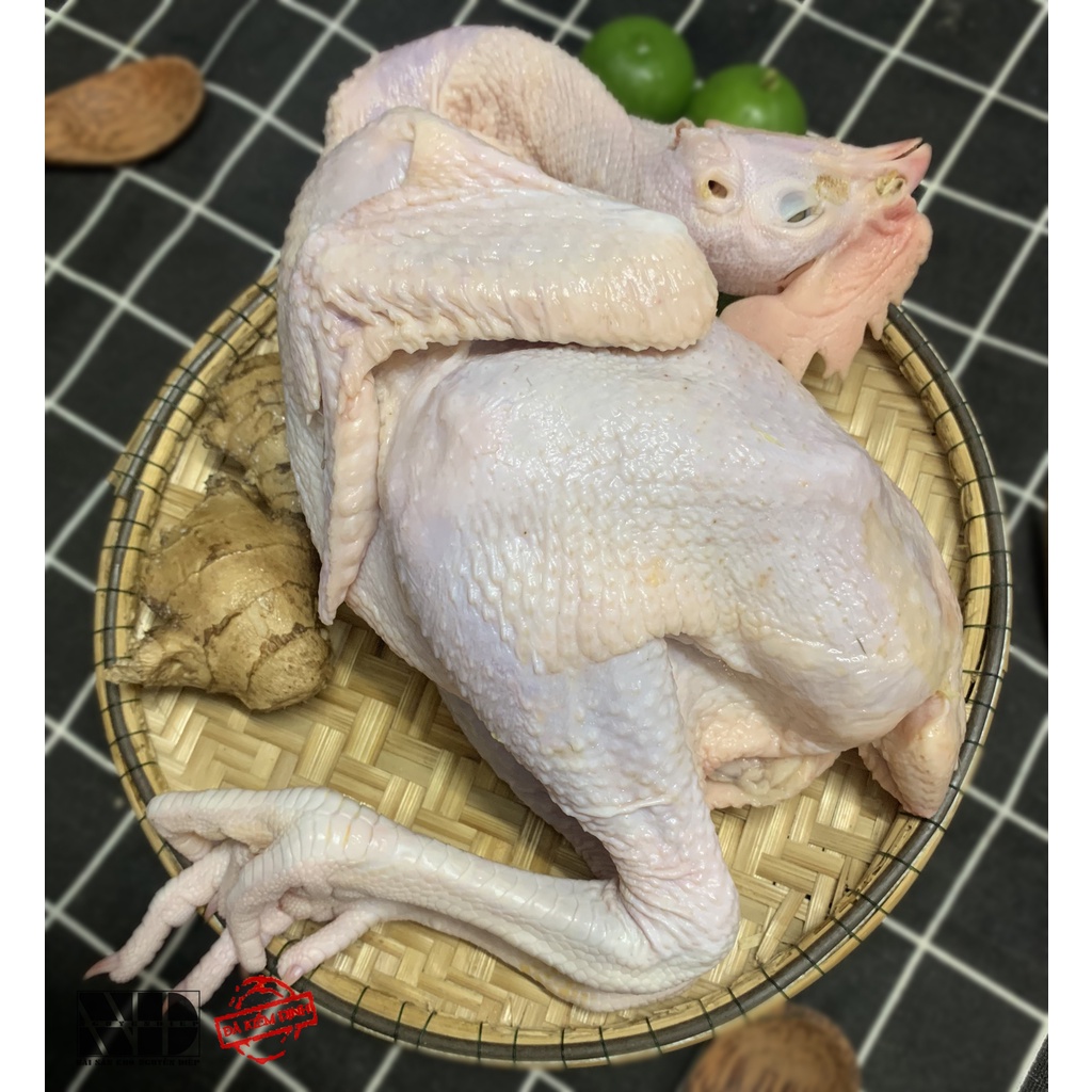 Gà Tam Hoàng nóng nguyên con | Sản xuất trong ngày