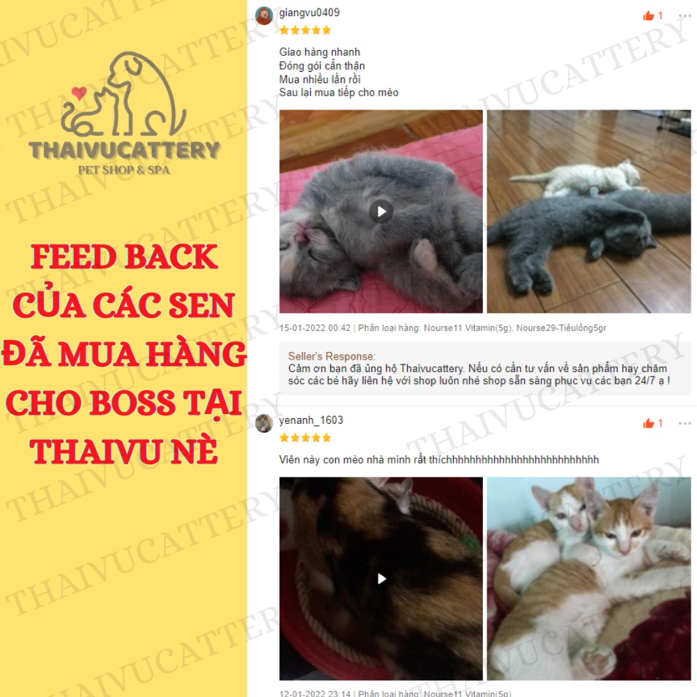 Viên nhai NOURSE cho mèo con mèo lớn bổ sung Vitamin dưỡng chất cần thiết phát triển toàn diện