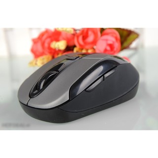 Chuột HP LaveRock