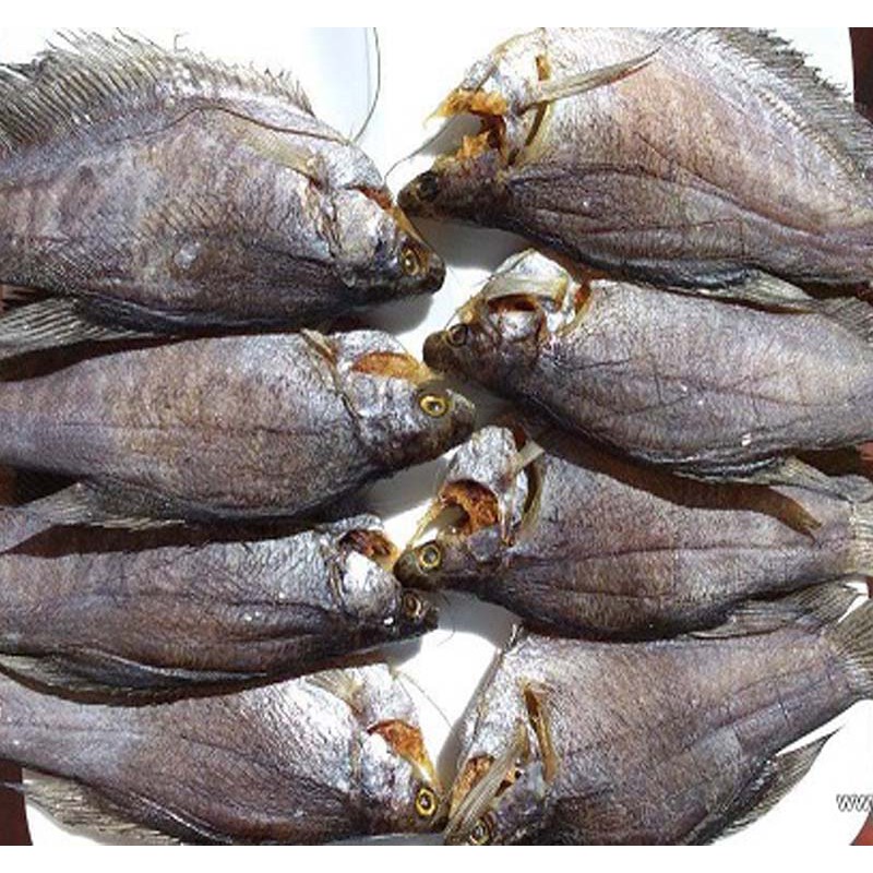 1 Kg KHÔ CÁ SẶC RẰN (LÒ THO) LOẠI NGON, KHÔ KHÔNG BỊ MẶN. ĐẶC SẢN TRÀ VINH