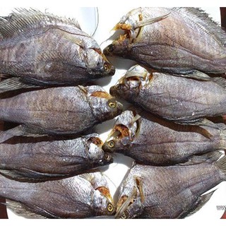 1 Kg KHÔ CÁ SẶC RẰN (LÒ THO) LOẠI NGON, KHÔ KHÔNG BỊ MẶN. ĐẶC SẢN TRÀ VINH