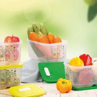 Bộ Hộp Trữ Mát Venstmart Set 5 hộp 💕Freeship Extra💕Tupperware cao cấp
