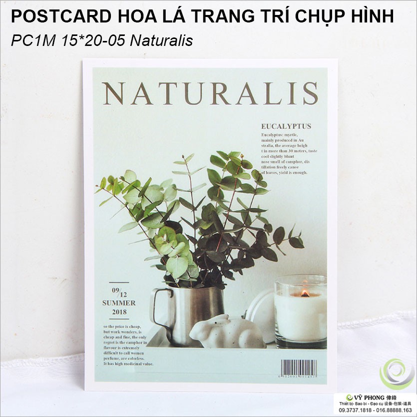 THIỆP CHỤP ẢNH POSTER 1 MẶT 15x20cm Phụ Kiện Trang Trí Chụp Ảnh Sản Phẩm PC1M15x20-01~9