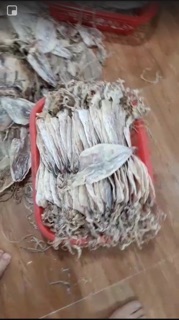 Combo 7 con mực khô mini loại ngon