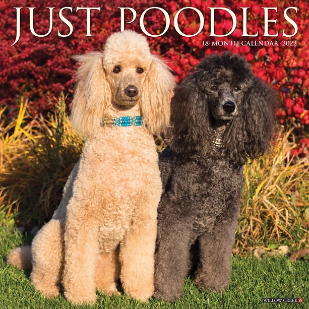 Lịch treo tường Just Poodles - Willow Creek Press