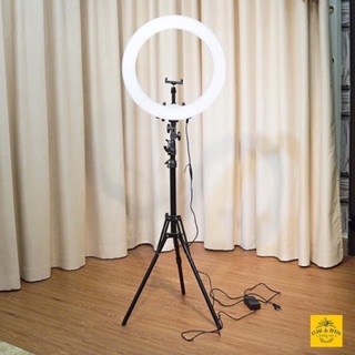 Bộ Đèn Live Stream Size 36cm [Hàng cao cấp 4 màu đèn cực sáng]