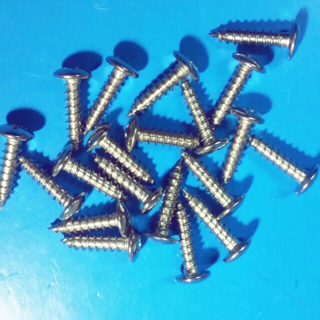 Vít dù xoắn inox - 100gram..