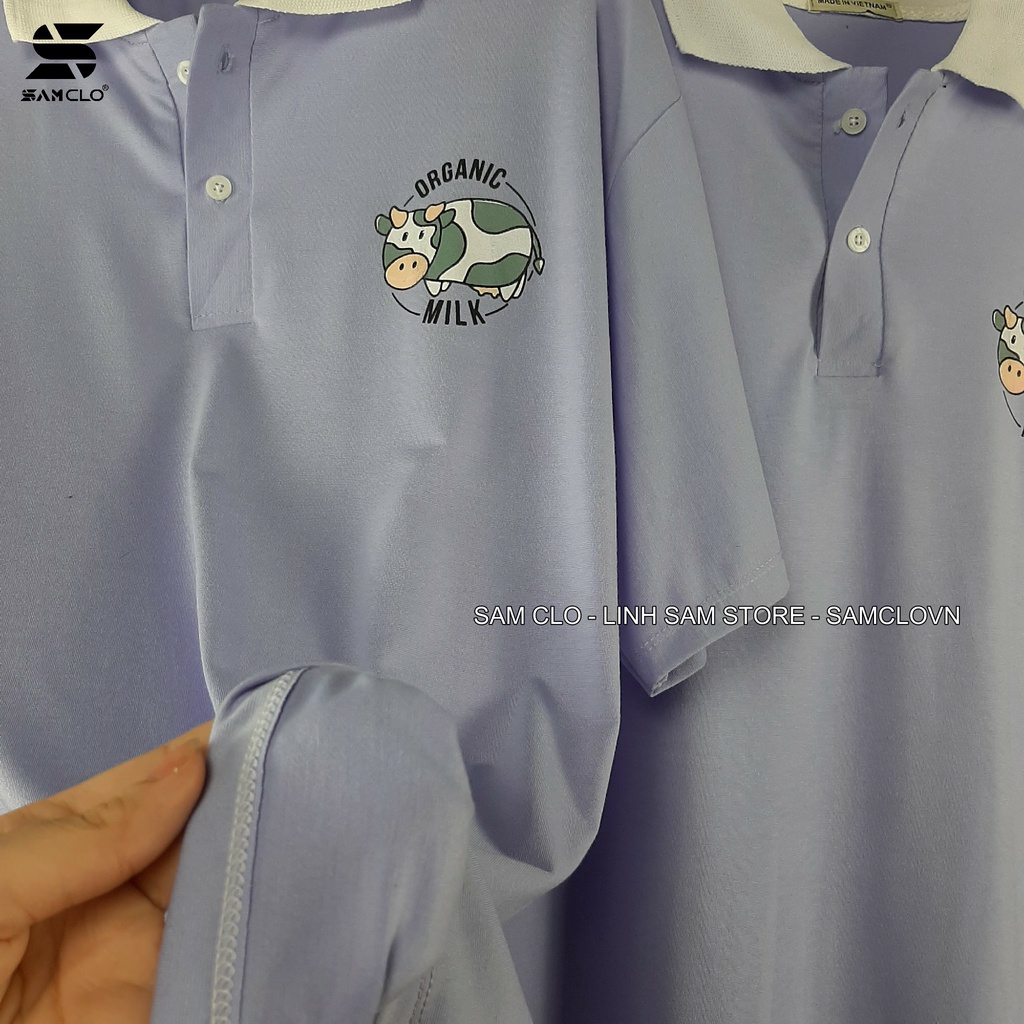 Áo thun Polo tay lỡ form rộng nữ SAM CLO phông freesize unisex mặc đi học, nhóm, lớp in hình BÒ SỮA