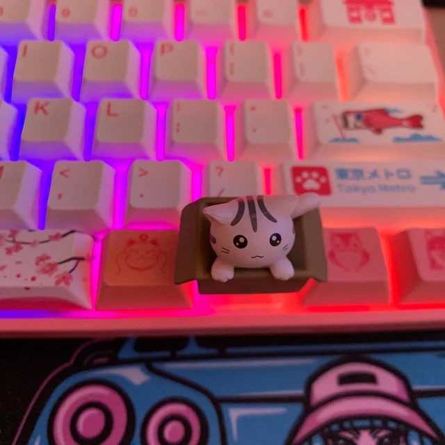 Keycap lẻ mèo ngồi trong hộp dễ thương