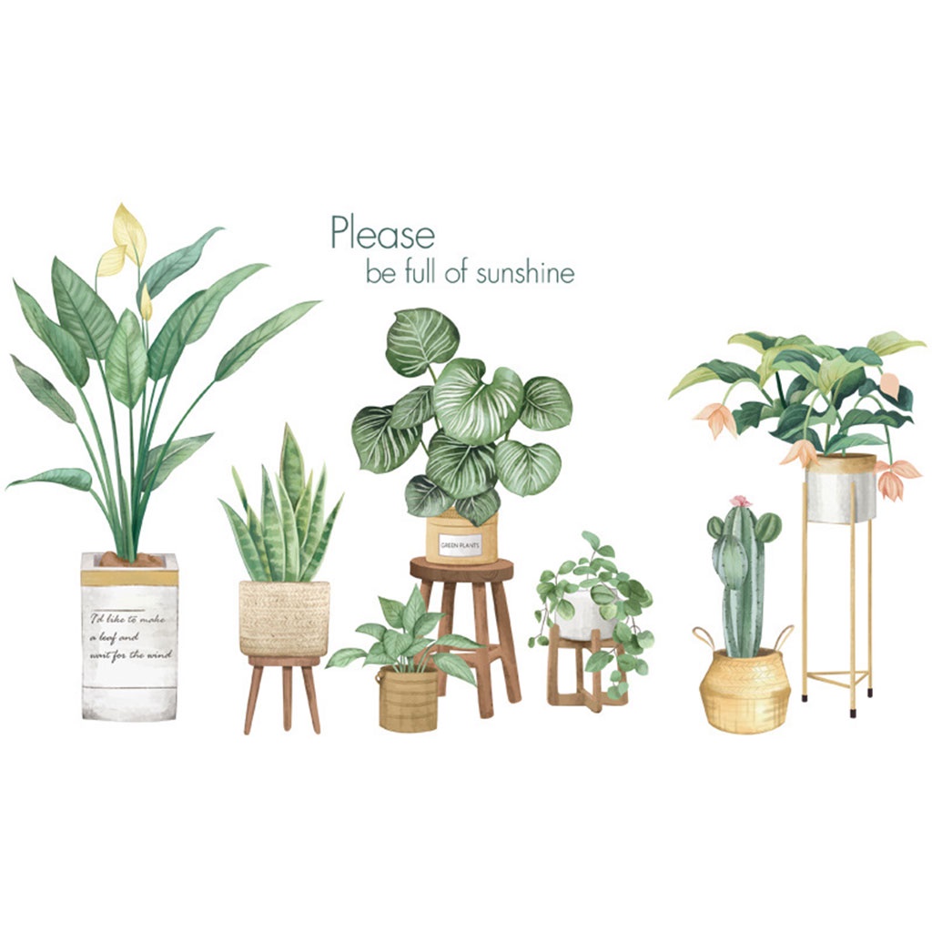 Decal dán tường Hàn Quốc trang trí nhà cửa mẫu cây hoa lá khổ lớn C79