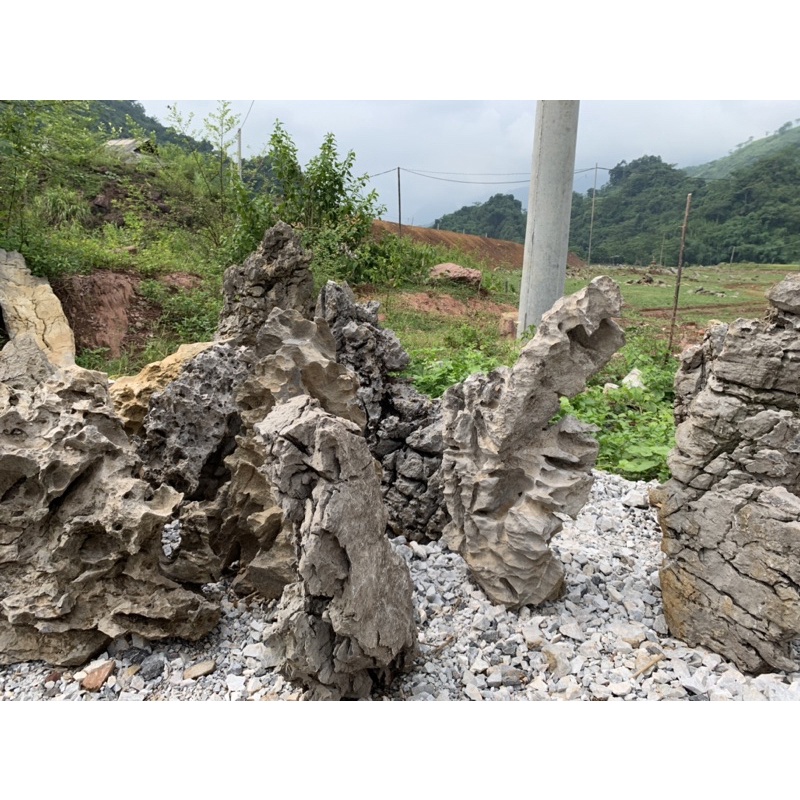 Đá tai mèo làm tiểu cảnh bonsai