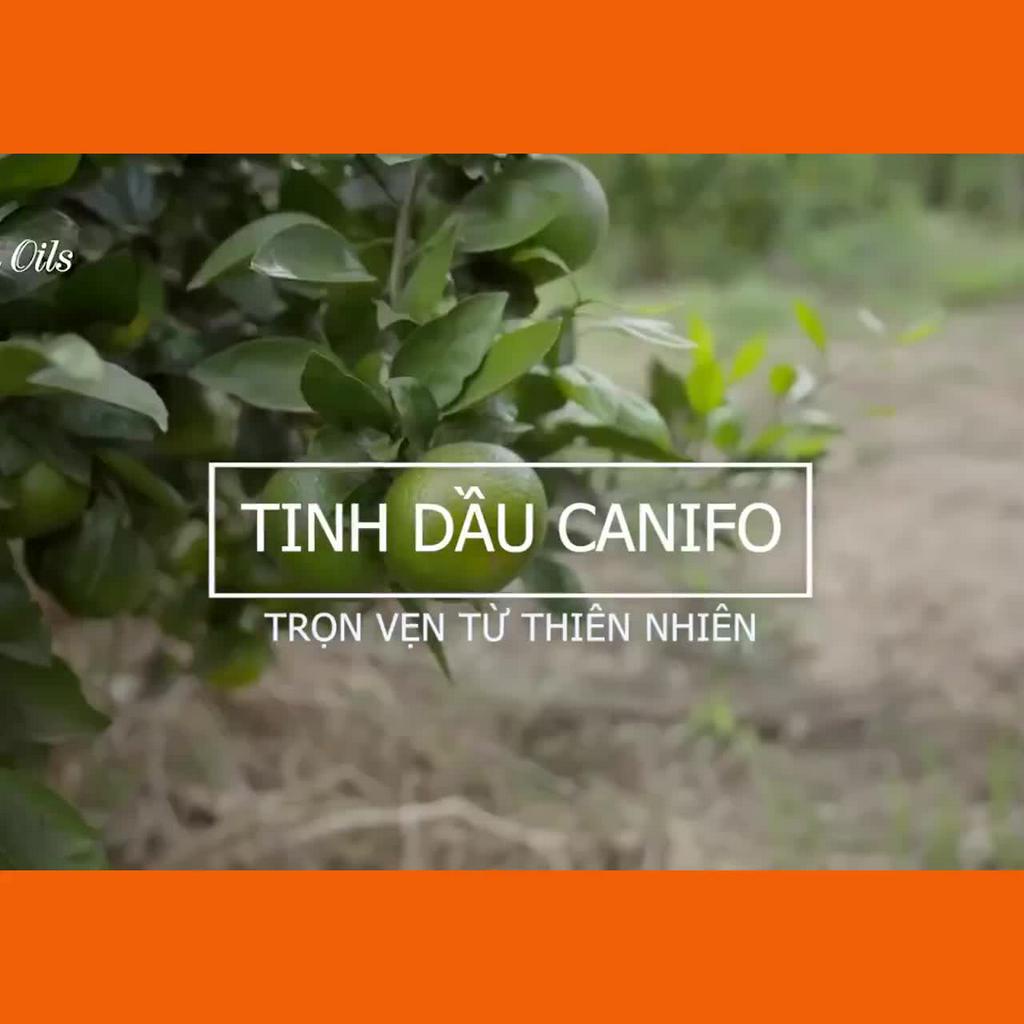 Vỏ lọ đựng tinh dầu treo xe ô tô, lọ treo tinh dầu sang trọng, đẳng cấp, dùng thay thế cho đèn xông tinh dầu | BigBuy360 - bigbuy360.vn