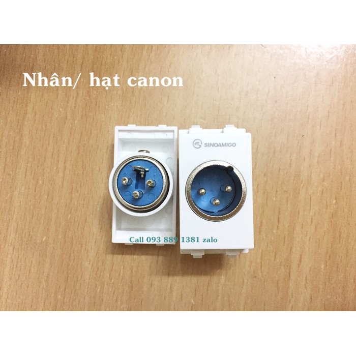 [Ảnh thật] Nhân, hạt Micro Jack Canon F24 dùng lắp âm tường/ âm sàn