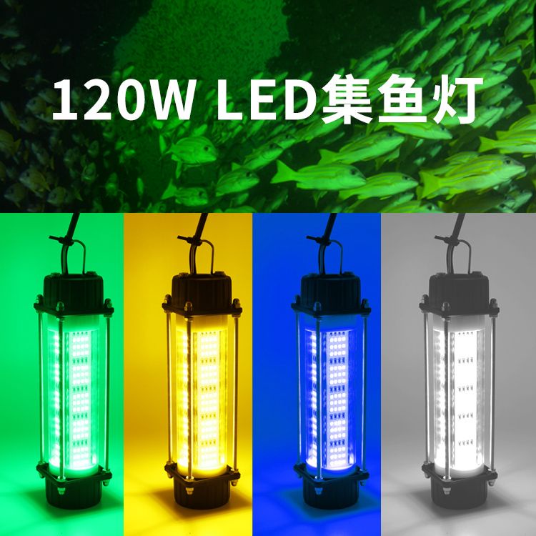 Đèn LED Mồi Câu Cá Ban Đêm Hình Mực Chống Nước