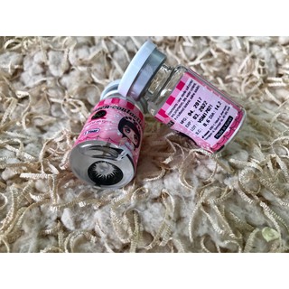 LENS VASSEN MẪU ALLOVERA