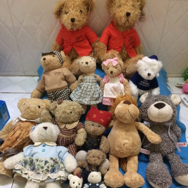 Gấu bông teddy
