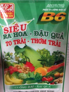 Siêu kích hoa B6