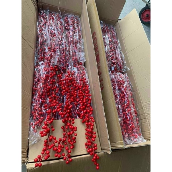 Đào đông 12 nhánh