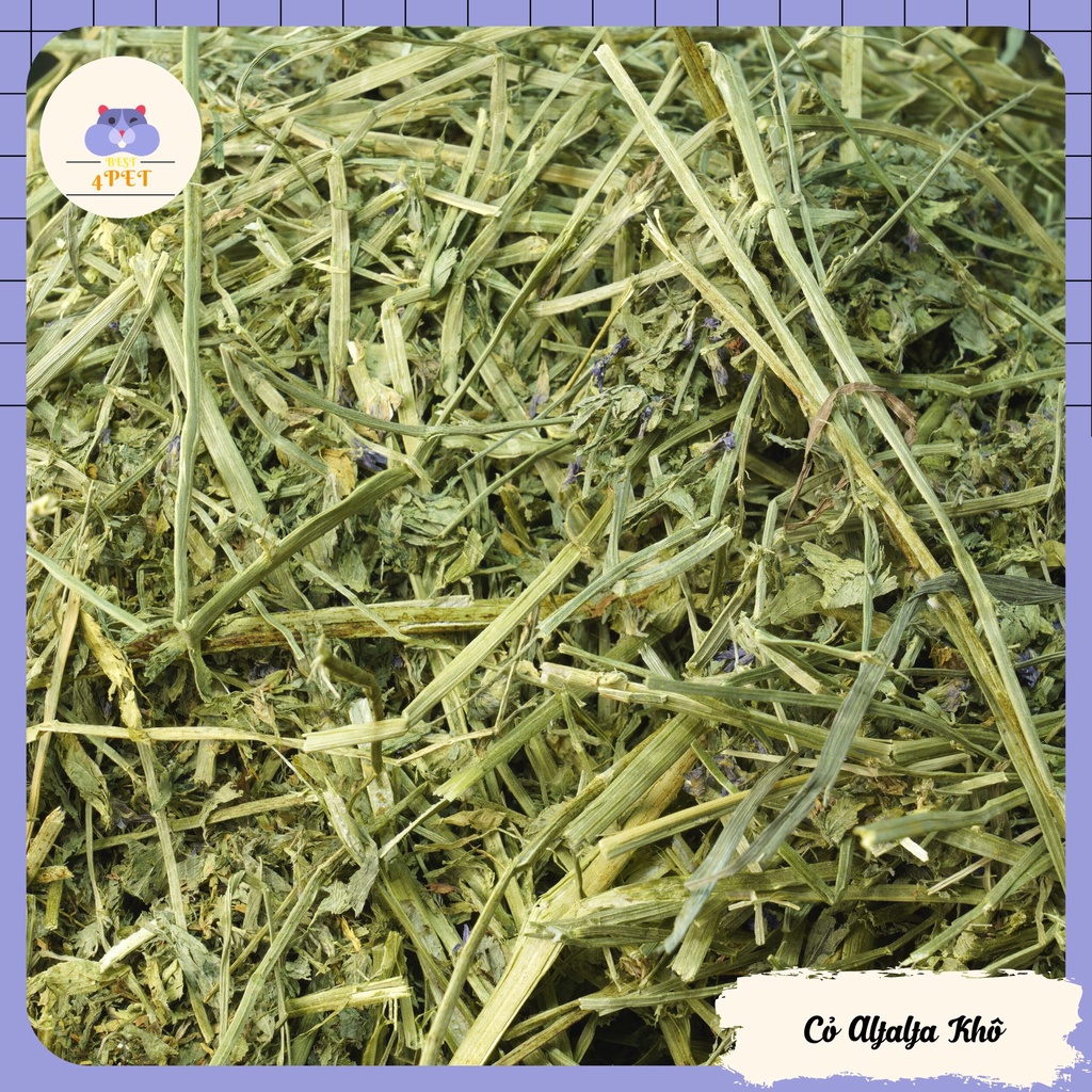 Cỏ Alfalfa Khô Cho Bọ Ú, Chinchilla - 500g