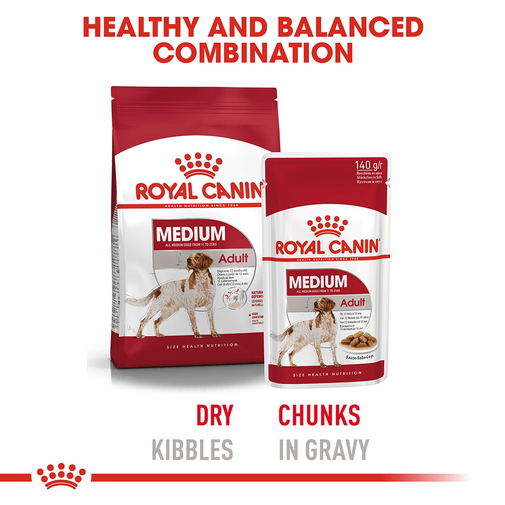 Pate Cho Chó Royal Canin Medium Adult 140g