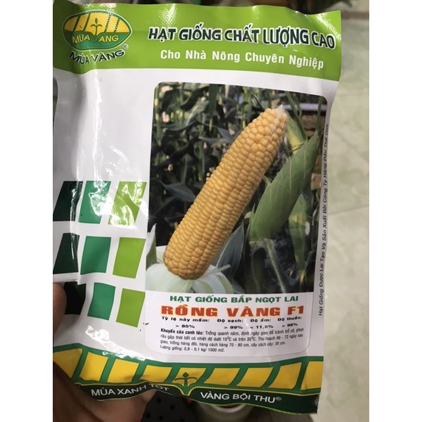 Hạt giống bắp ngọt lại F1 Rồng vàng- gói 100 gam