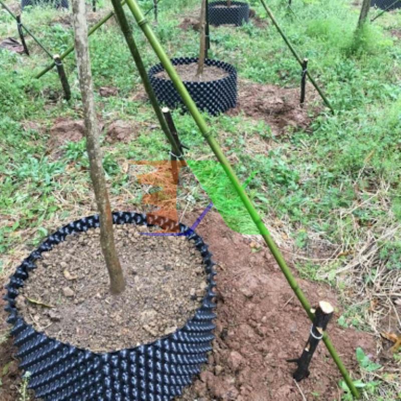 Bầu ươm cây công trình BLV-70, Chậu trồng cây có lỗ thoáng khí cao 70 cm dày 0.7 mm nhựa PET