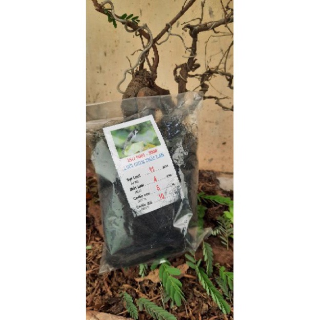 Lưới bẫy chim cao 5 dài 10m
