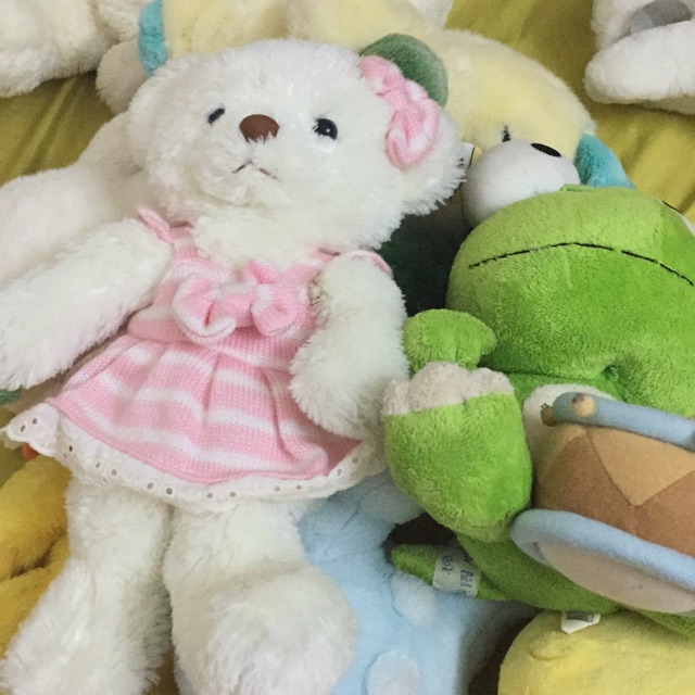 Set gấu c bích hằng