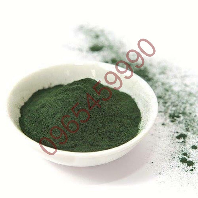 Giá buôn Tảo Diệp Lục Collagen | BigBuy360 - bigbuy360.vn