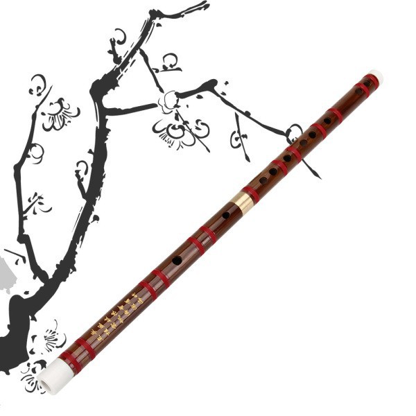 Sáo trúc Trung Quốc nhiều tông tùy chọn