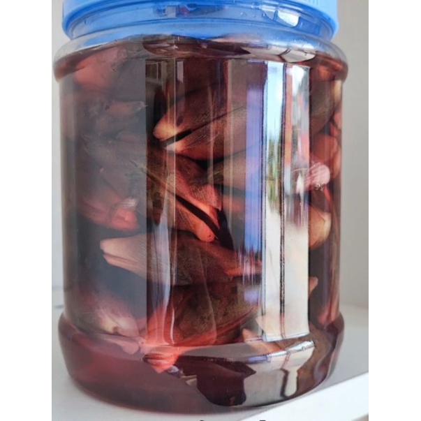 Chồi gừng Myoga ngâm muối ớt hộp 650g
