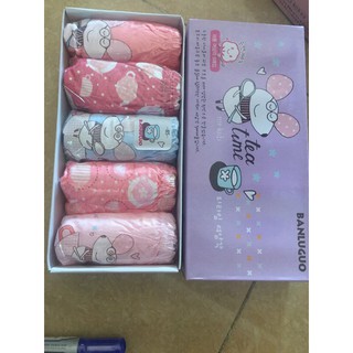 Set 5 quần chíp xuất Hàn bé gái