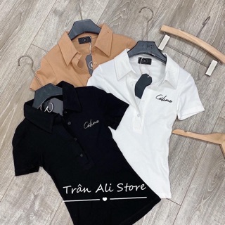 Áo thun có cổ thêu chữ phom ôm