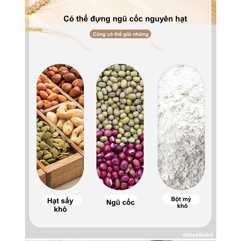 [BẢO HÀNH 1 NĂM] Thùng Đựng Gạo ECOCO - Chống Ẩm, Chống Mối Mọt - Loại 10kg - Chính Hãngi