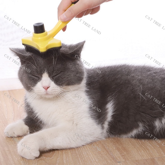LƯỢC CHẢI LÔNG CHÓ MÈO, LƯỢC LẤY LÔNG TỰ ĐỘNG CHO THÚ CƯNG
