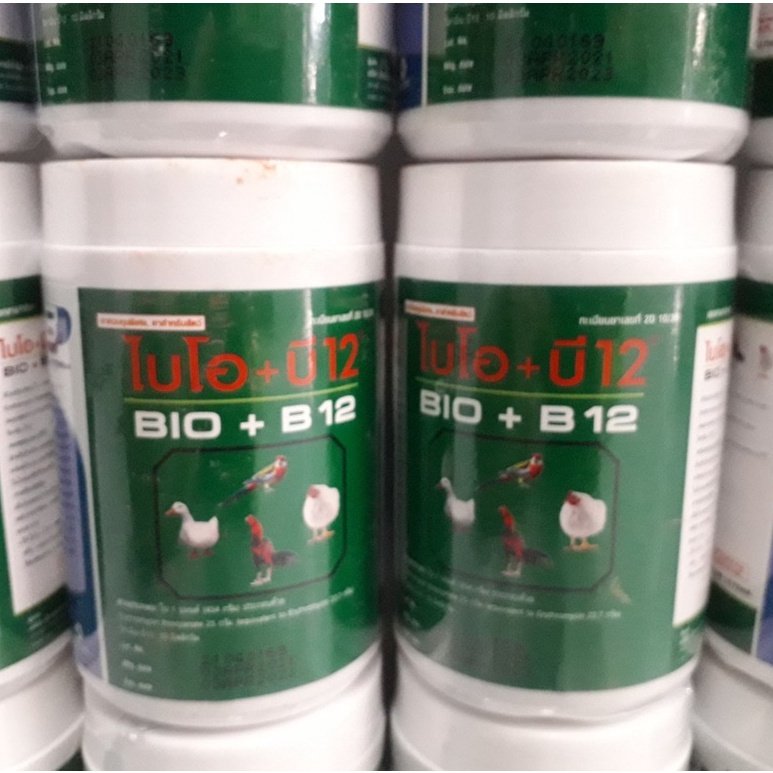 Bio B12 Thái Lan. Úm gà con, Phòng bệnh gà, vịt, chim cảnh