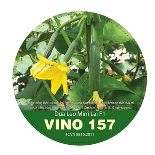 HẠT giống dưa leo VINO 157, hạt giống dưa leo baby, dưa leo nhật lai f1, dưa leo tự thụ phấn