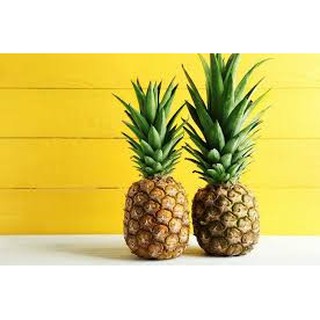 trái thơm trái khóm ngon 30k trái