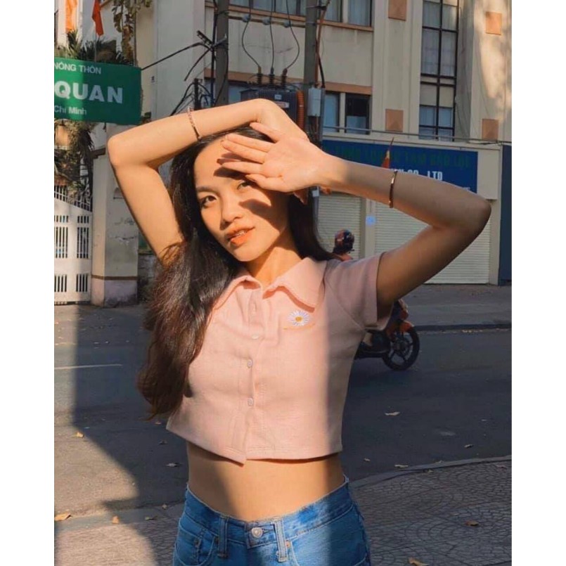 Áo Croptop Cổ Bẻ Hoa Cúc Chất Tici Cực Đẹp Dáng Crt Cực Xinh Xưởng May DCS